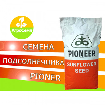 Pioner П64НЕ118 (EXPRESS)